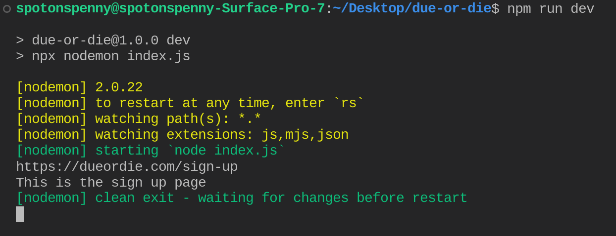 Output is the same as running npx nodemon index.js!